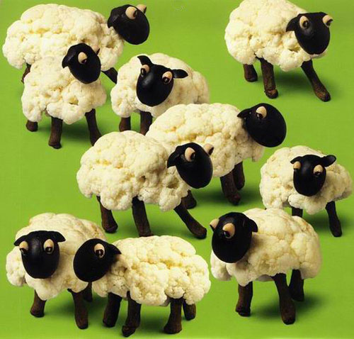 food_sheep