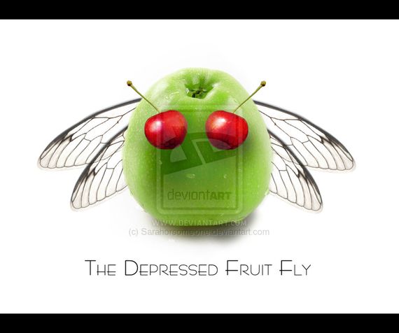 The_Depressed_Fruit