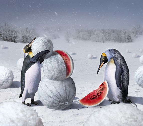 penguins building a watermelon snowman