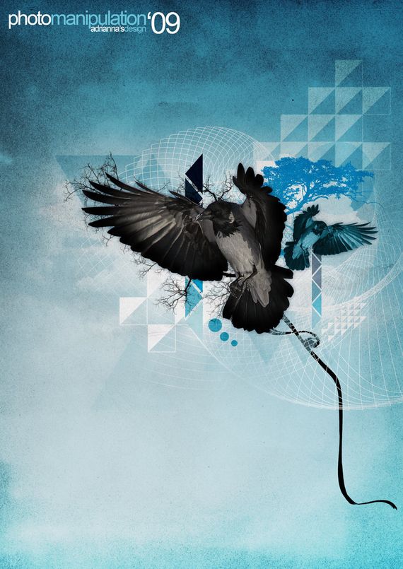 bird-on-blue-grainy-background