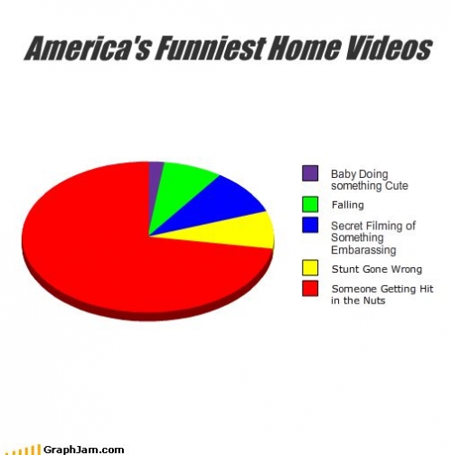 song-chart-memes-americas-funniest-video2