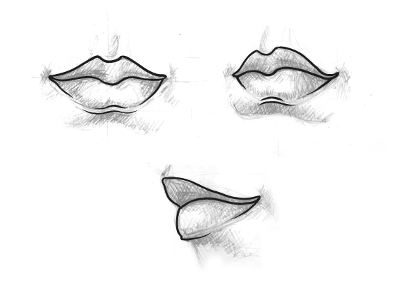 How to do Vector Drawing - Lip Vector Drawing Basics - 7