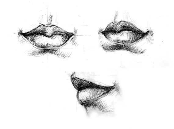 How to do Vector Drawing: Lip Vector Drawing Tips and Tricks