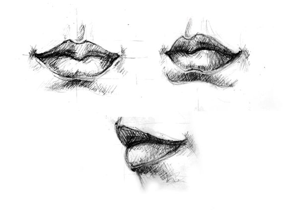 Drawing vector portraits Part 4 The Lips PIXEL77