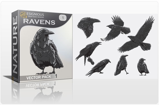 vector-ravens