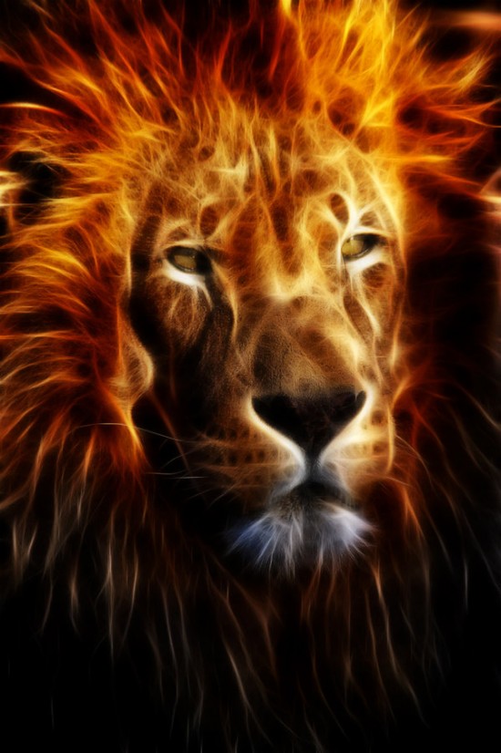 Lion_Fire_by_mceric