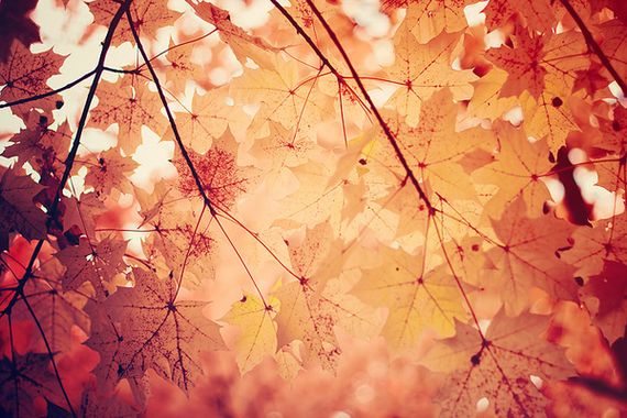 /Autumn-Colours-Part3