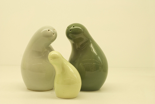 Creative Salt and Pepper Shakers, MySpicer