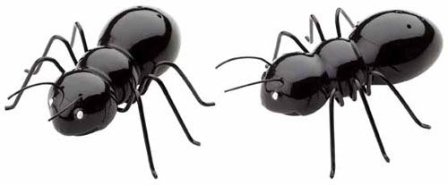 ants salt and pepper shaker designs