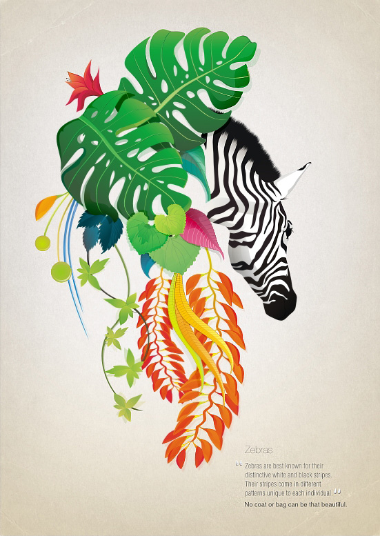 nature and zebra design