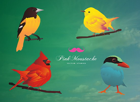 vector birds