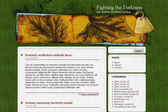 Fighting the Darkness WordPress Theme