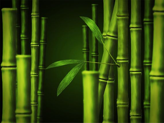 create bamboo sticks in photoshop