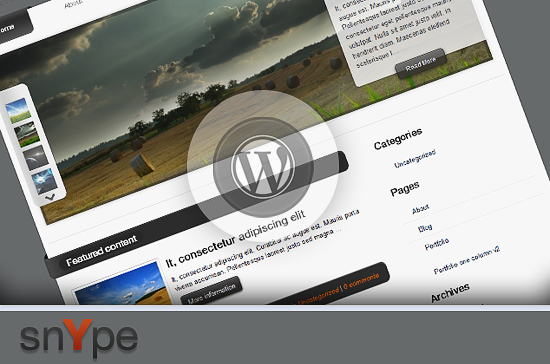 11 Snype WordPress Theme Preview-wpwizz