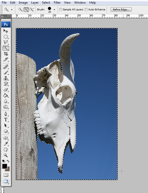 How to Create a Conceptual Headdress in Photoshop Step 4