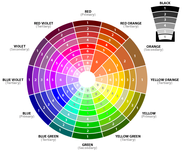 Color Psychology in Web Design