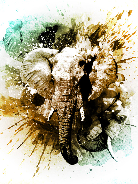 elephant tutorial photoshop wegraphics