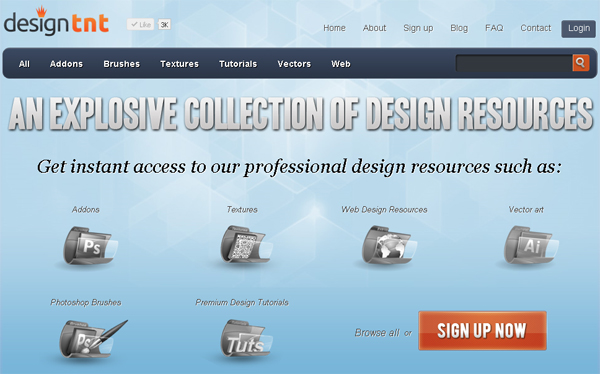 Designtnt-website-design