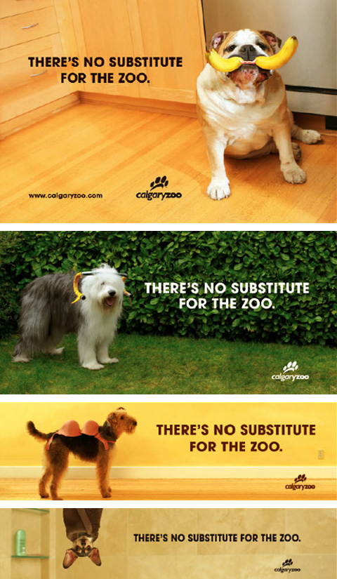 Calgary Zoo Ad Campaign