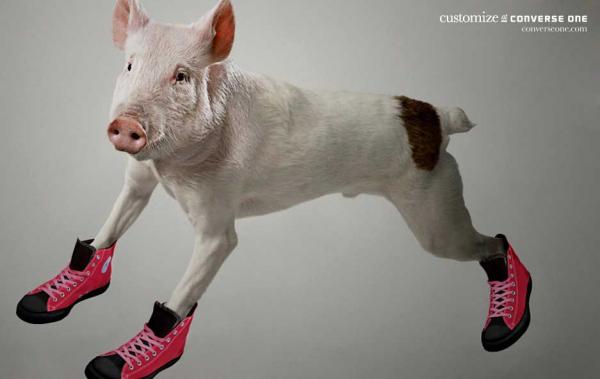Converse Pig Ad Campaign