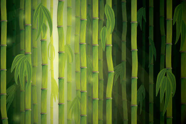 bamboo illustrator tutorial