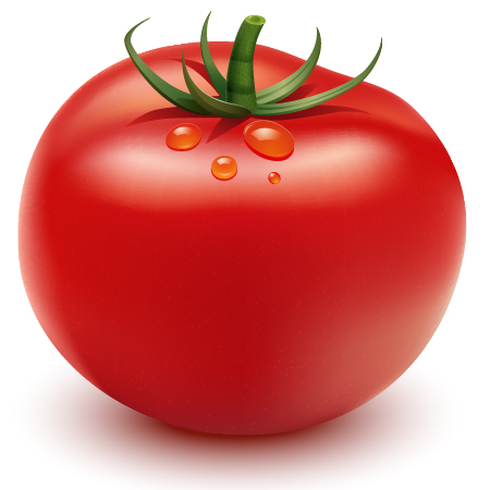 how to create a tomato in illustrator 