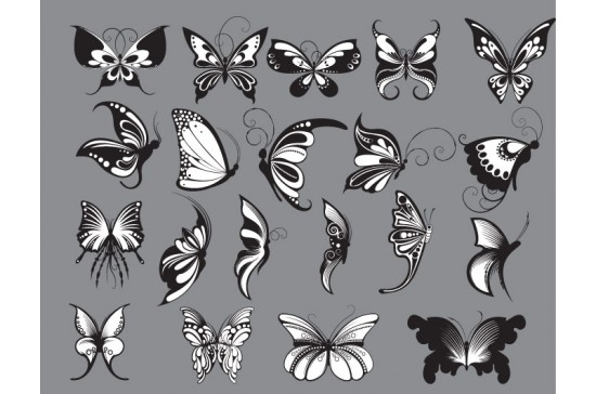 butterflies-2-prewiev