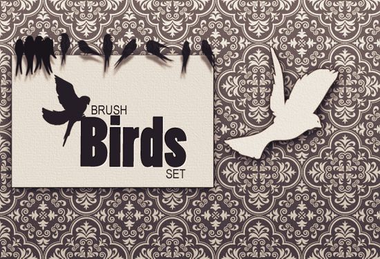 previews-brushes-birds-1