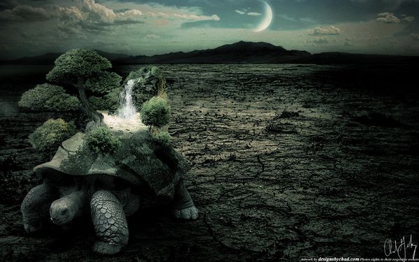 Photo-manipulation-turtle-Chad-Gersky