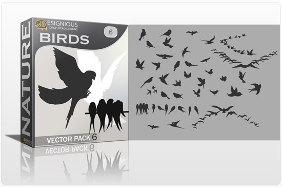 designious-birds-vector-pack-6-preview-1_1
