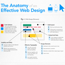 thumb-web-design-infographi
