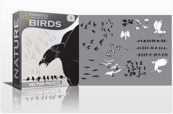 vector-birds-1