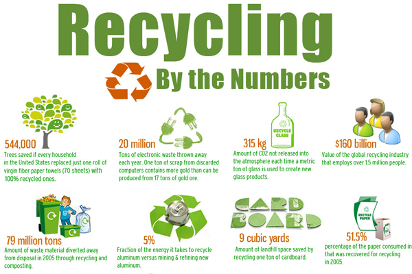 Eco-friendly-infographic-12