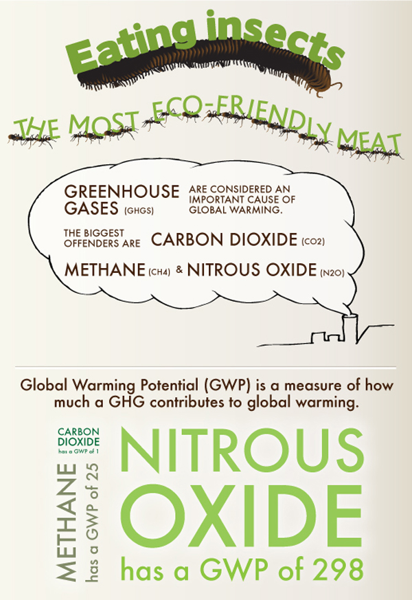 Eco-friendly-infographic-14