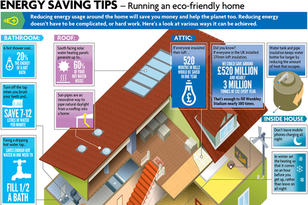 Eco-friendly-infographic-19