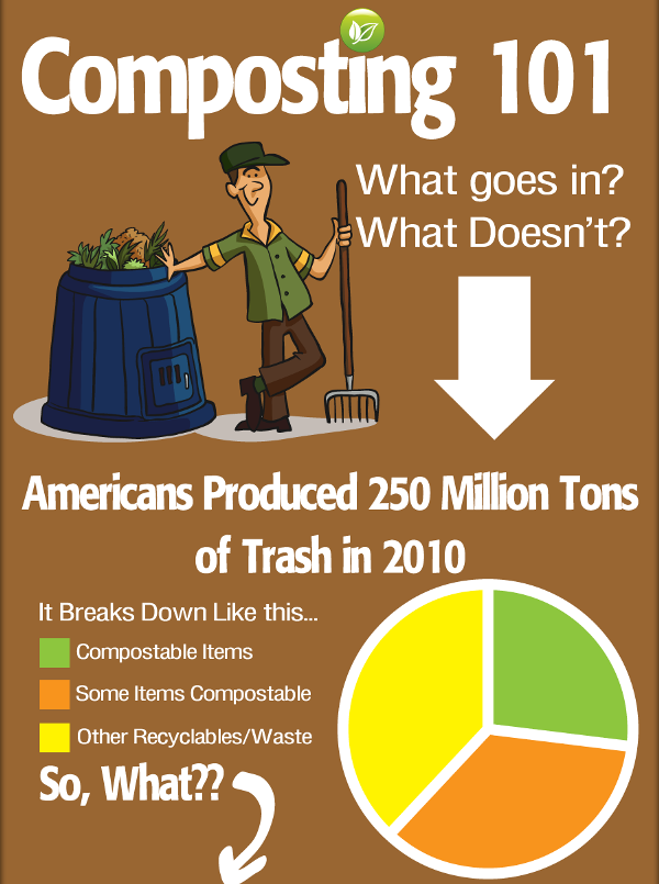Eco-friendly-infographic-20