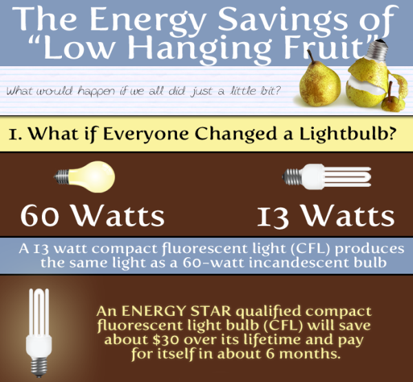 Eco-friendly-infographic-4