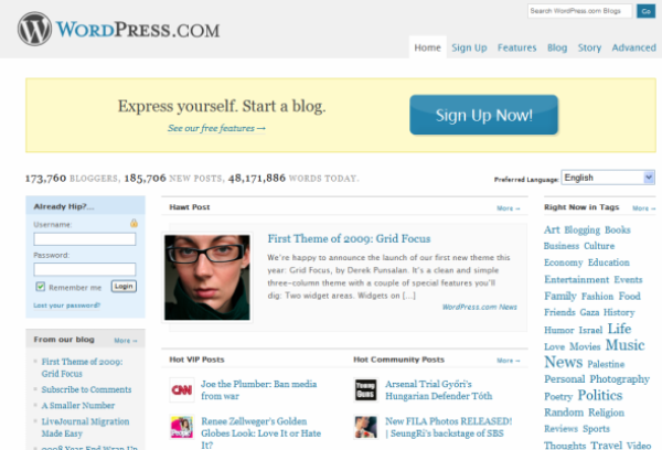 wordpress website