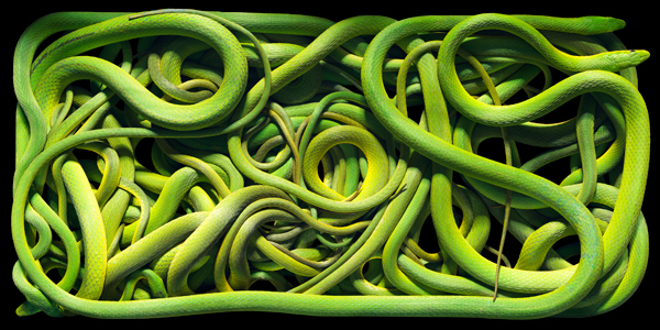 0091_Green_Snakes-copy