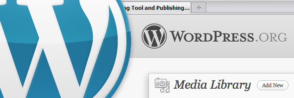 Four-reasons-WordPress-build-your-website-6