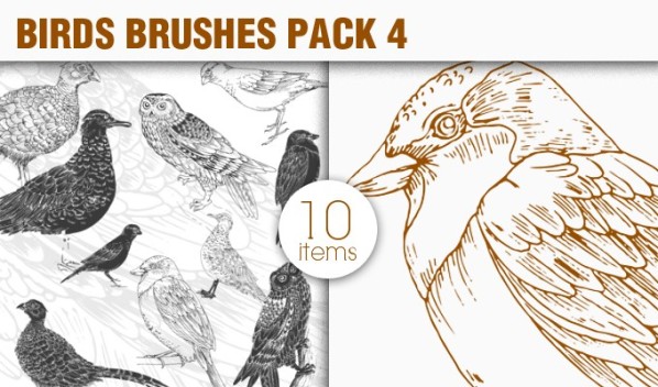 designious-brushes-birds-4