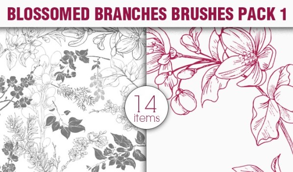 designious-brushes-blossomed-branches