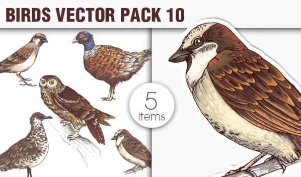 designious-vector-birds-10