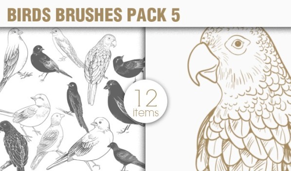 designious-brushes-birds-5-small