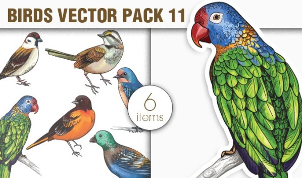 designious-vector-birds-11
