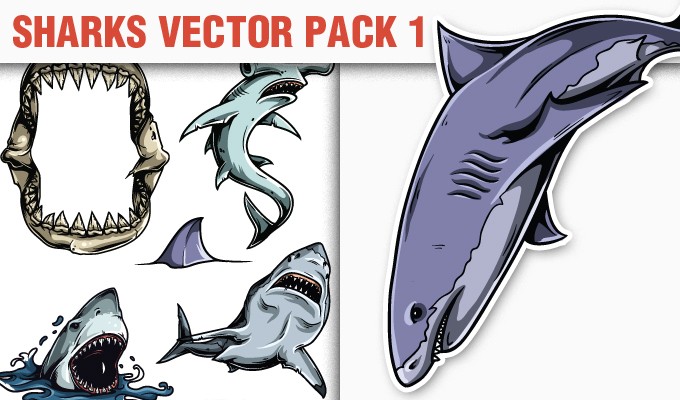 designious-vector-sharks-1-small