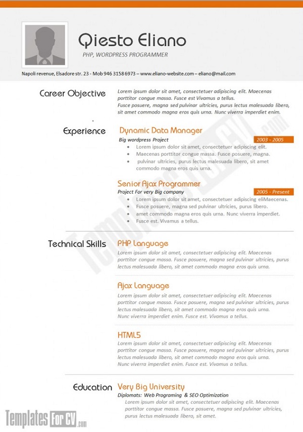 25 Awesome CV Templates and Examples 8