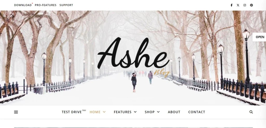 Ashe wordpress theme