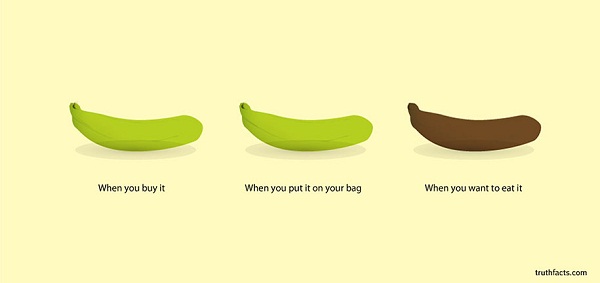 7-Basic-Truths-of-Everyday-Life-Illustrated-with-Accurate-Graphs-6