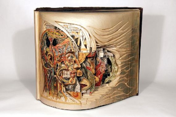 Artist-of-the-Week-Sculptural-book-art-by-Brian-Dettmer-2